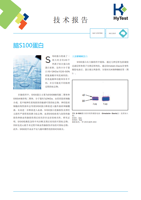 S100.png